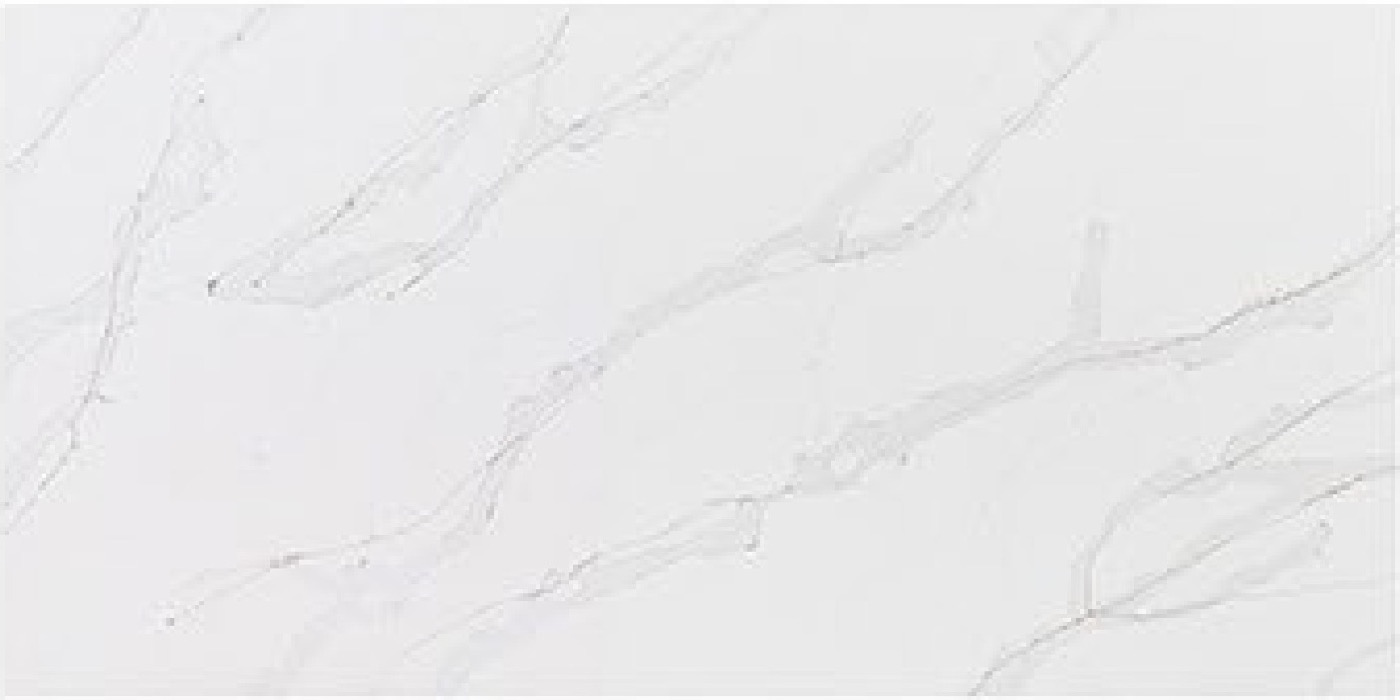 Calacatta Silver Vein