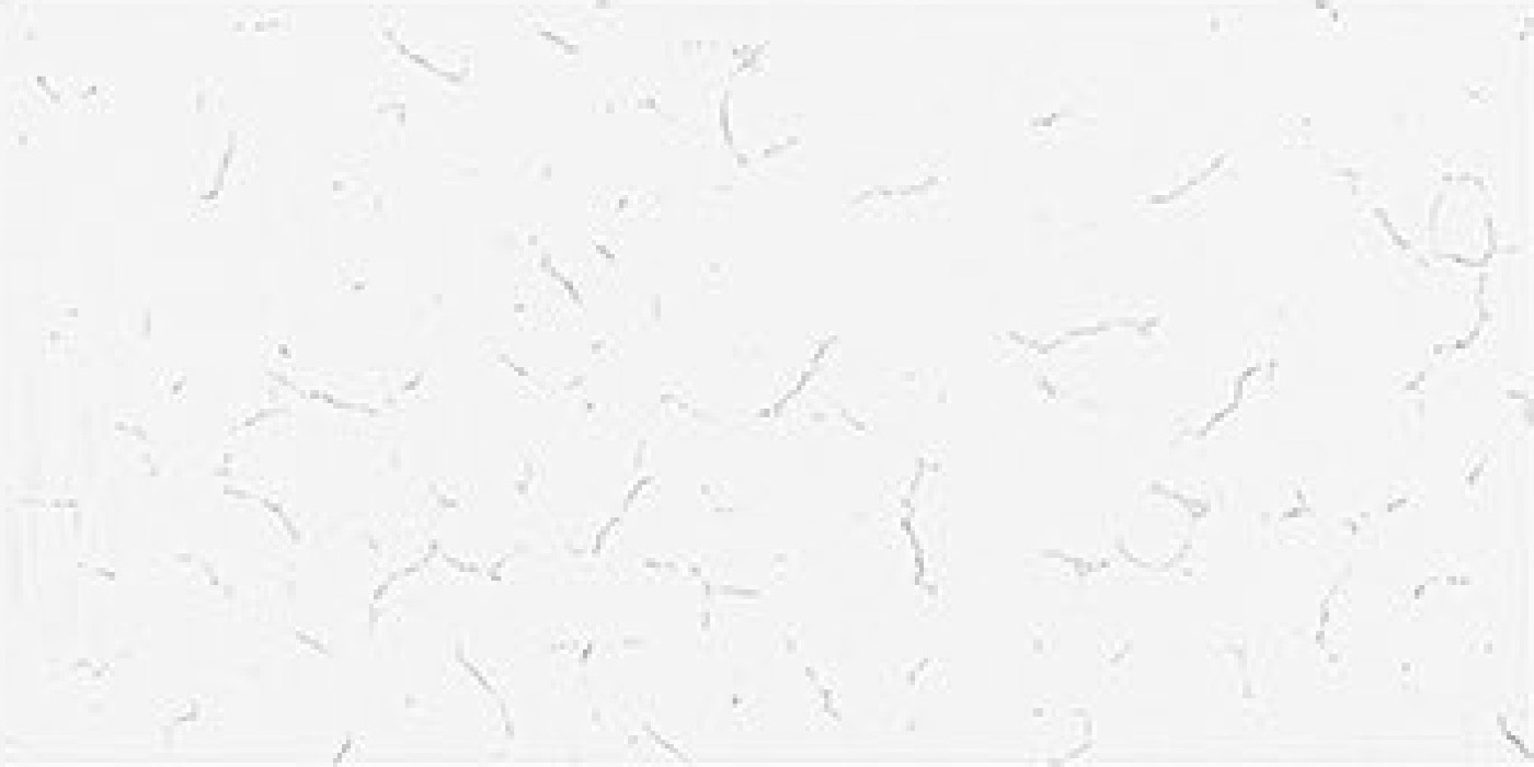 Carrara Linear White