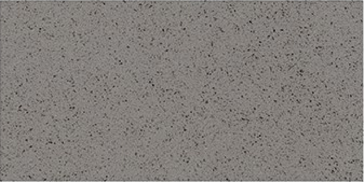 Fine Grain Light Gray